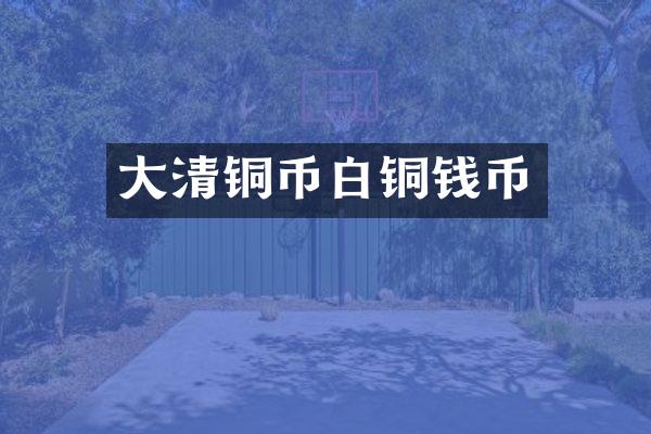 大清铜币白铜钱币