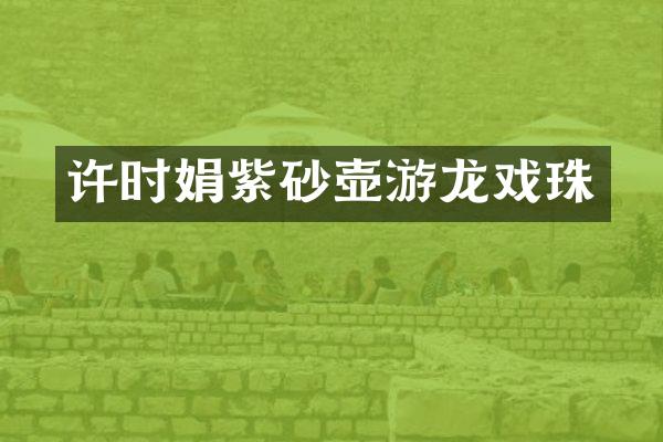 许时娟紫砂壶游龙戏珠
