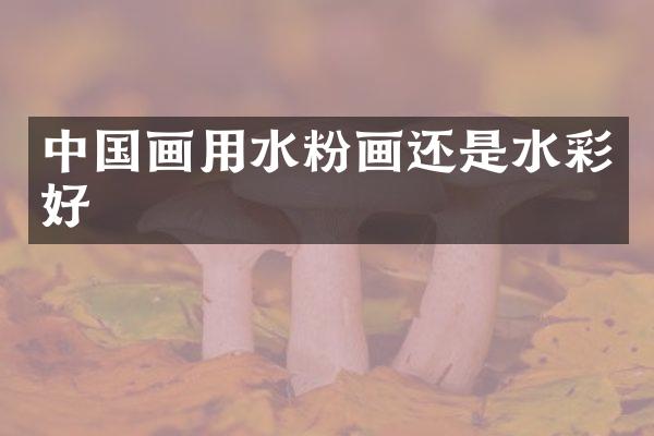 中国画用水粉画还是水彩好