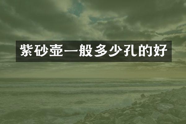 紫砂壶一般多少孔的好