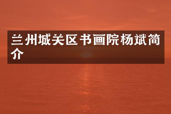 兰州城关区书画院杨斌简介