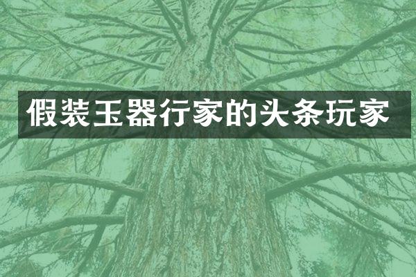 假装玉器行家的头条玩家
