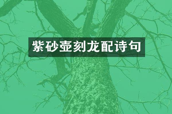 紫砂壶刻龙配诗句