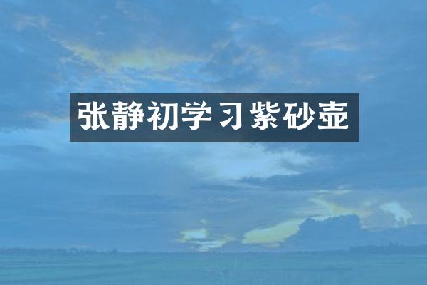 张静初学习紫砂壶