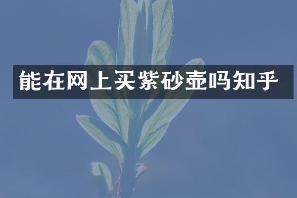 能在网上买紫砂壶吗知乎