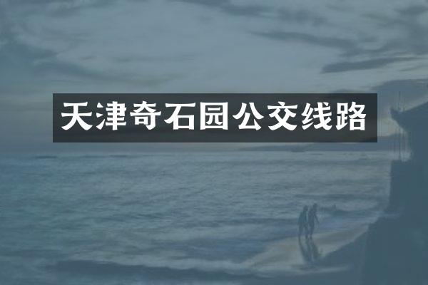 天津奇石园公交线路