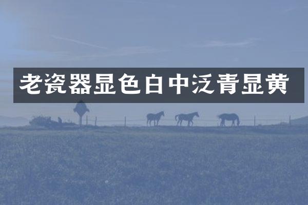 老瓷器显色白中泛青显黄