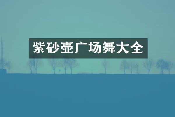 紫砂壶广场舞大全