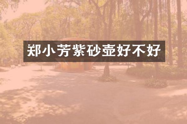 郑小芳紫砂壶好不好