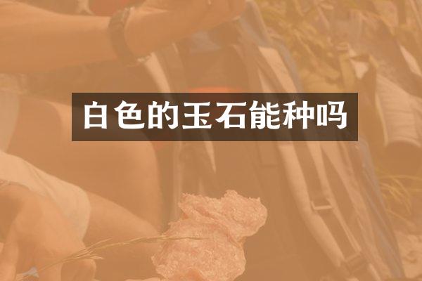 白色的玉石能种吗