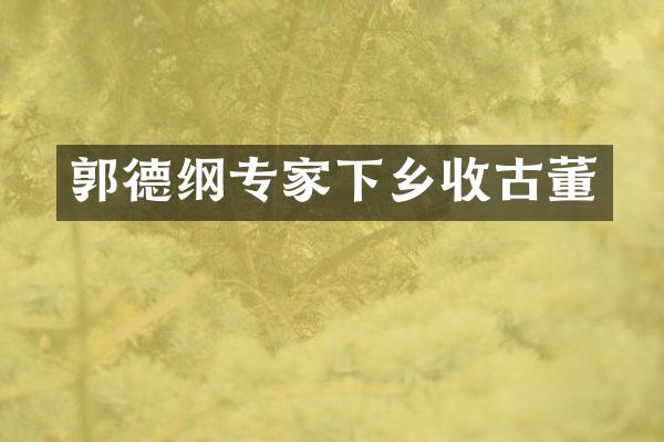 郭德纲专家下乡收古董