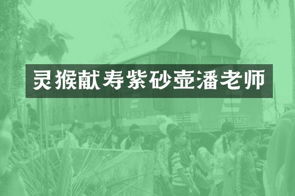 灵猴献寿紫砂壶潘老师