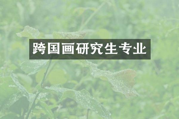 跨国画研究生专业