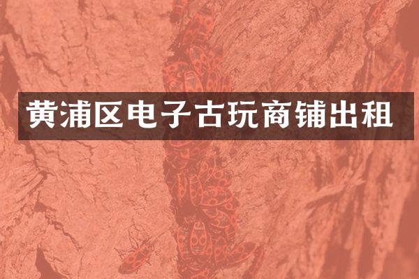黄浦区电子古玩商铺出租