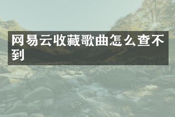 网易云收藏歌曲怎么查不到