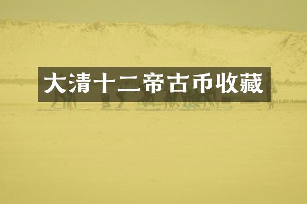 大清十二帝古币收藏