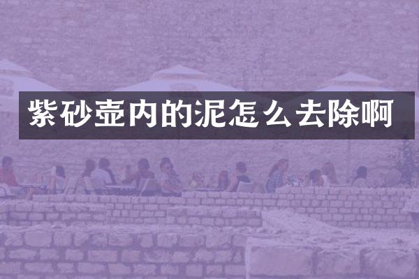 紫砂壶内的泥怎么去除啊