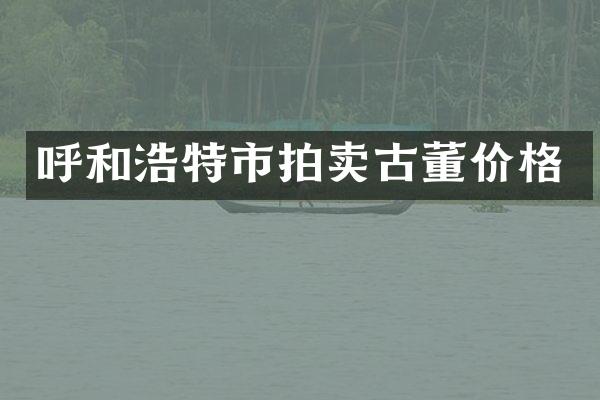 呼和浩特市拍卖古董价格