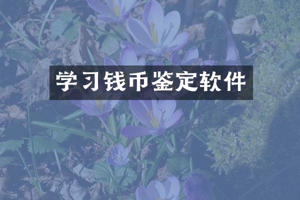 学习钱币鉴定软件
