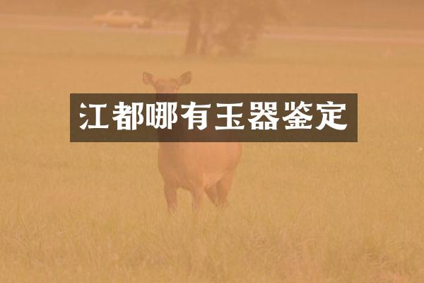 江都哪有玉器鉴定