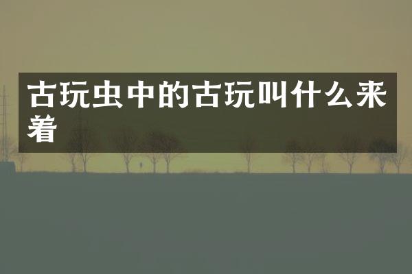 古玩虫中的古玩叫什么来着