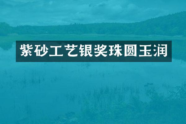 紫砂工艺银奖珠圆玉润