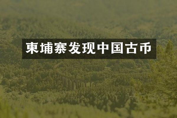 柬埔寨发现中国古币