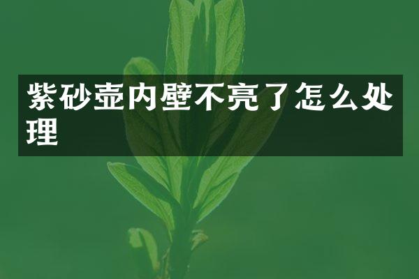 紫砂壶内壁不亮了怎么处理