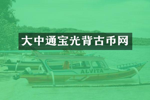 大中通宝光背古币网
