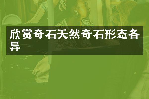 欣赏奇石天然奇石形态各异