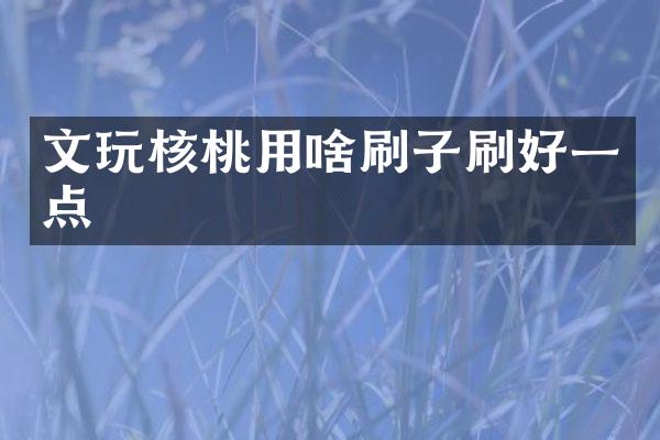 文玩核桃用啥刷子刷好一点