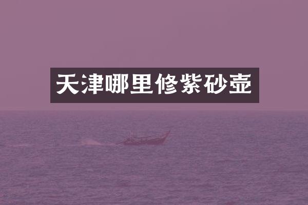 天津哪里修紫砂壶