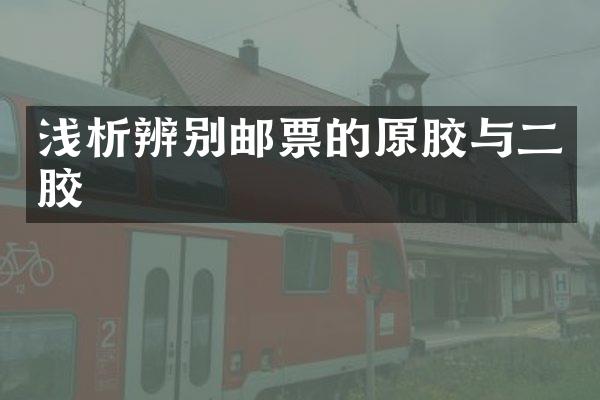 浅析辨别邮票的原胶与二胶