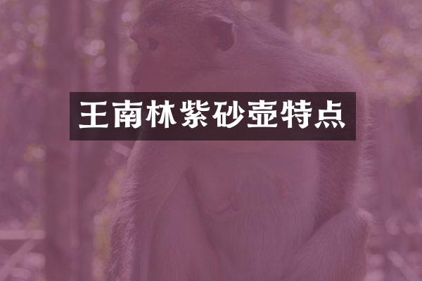 王南林紫砂壶特点