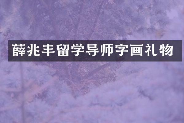 薛兆丰留学导师字画礼物