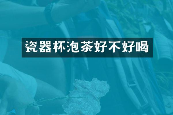 瓷器杯泡茶好不好喝