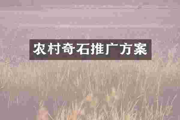 农村奇石推广方案