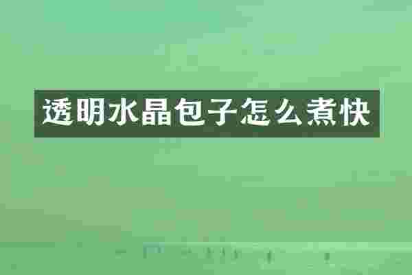 透明水晶包子怎么煮快