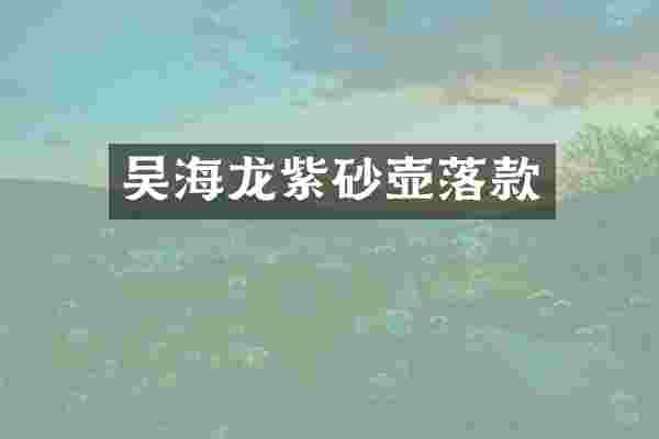 吴海龙紫砂壶落款