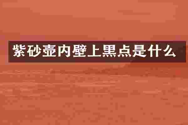紫砂壶内壁上黑点是什么