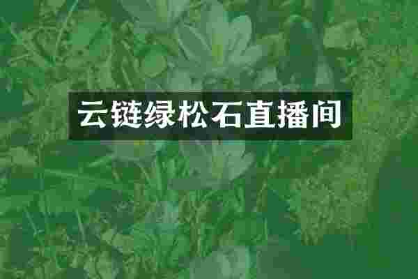 云链绿松石直播间
