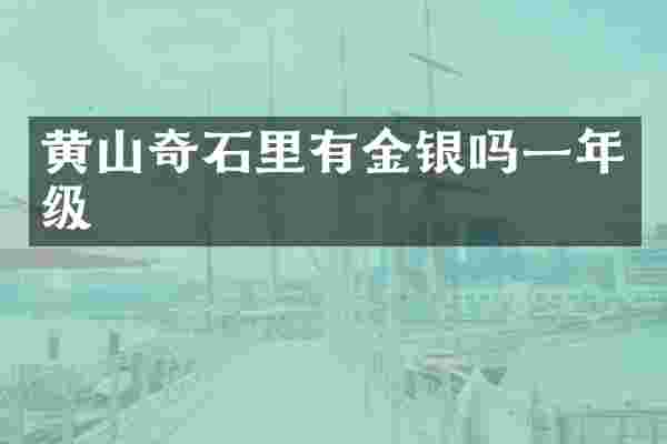黄山奇石里有金银吗一年级