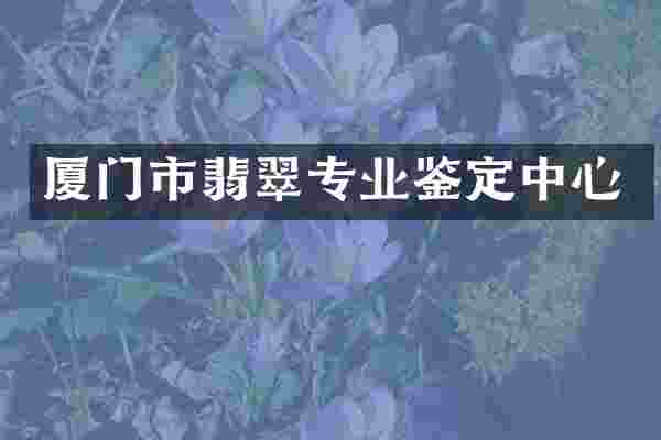 厦门市翡翠专业鉴定中心