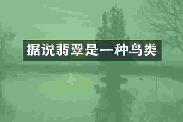 据说翡翠是一种鸟类