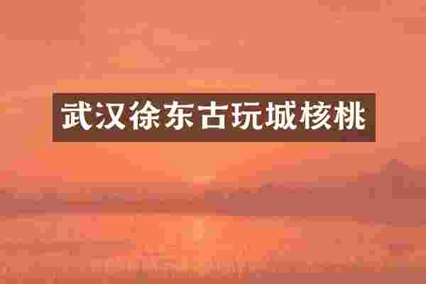 武汉徐东古玩城核桃