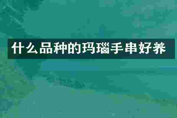 什么品种的玛瑙手串好养