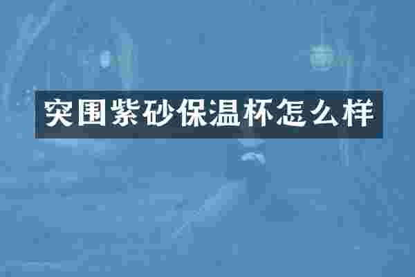突围紫砂保温杯怎么样