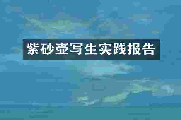 紫砂壶写生实践报告