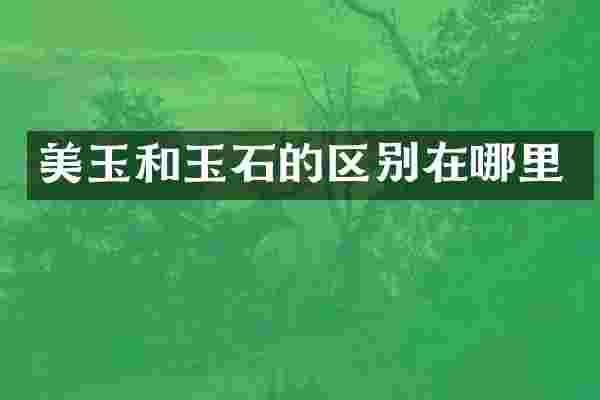 美玉和玉石的区别在哪里