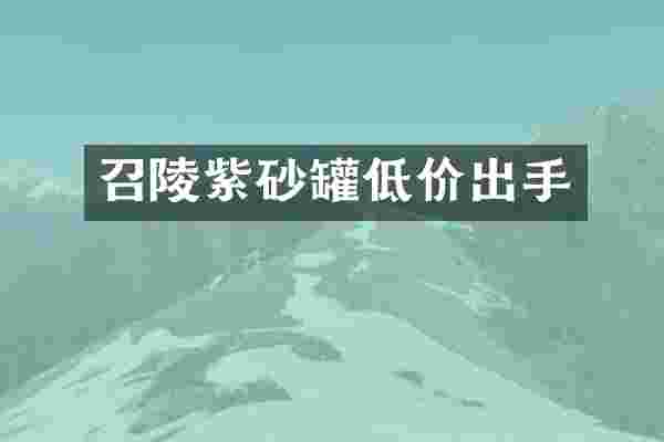 召陵紫砂罐低价出手